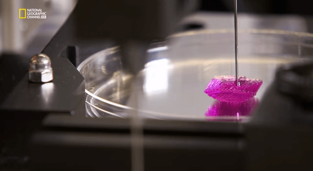 20150202mo-national-geographic-3d-printing-of-live-organ-tissue-from-20140603